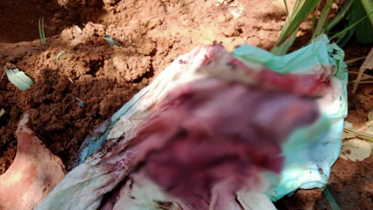 Janin perempuan ditemukan terkubur di lahan kosong oleh warga dengan kondisi sudah meninggal dan membusuk. Foto: Ist