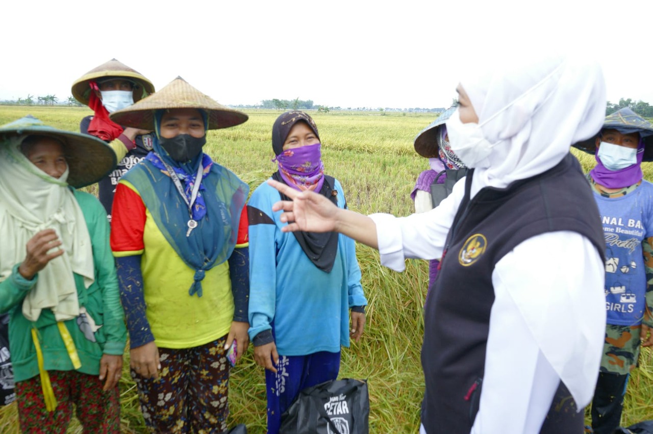 Gubernur Jawa Timur, Khofifah Indar Parawansa bersama petani terkait nilai NTP petani sedang alami kenaikan. Foto: Ist