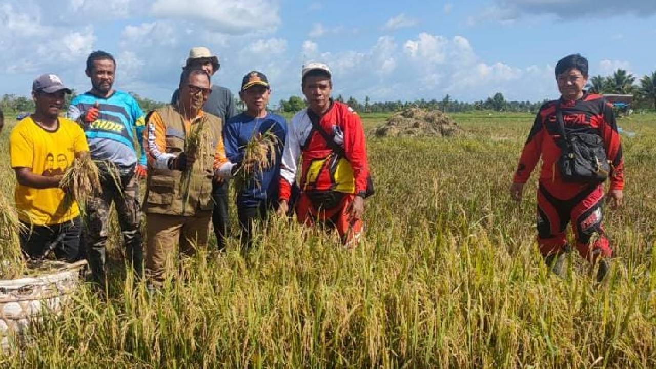 Pj Bupati Muna Barat wujudkan program ketahanan pangan dengan menggenjot peningkatan produksi padi. Foto: Ist