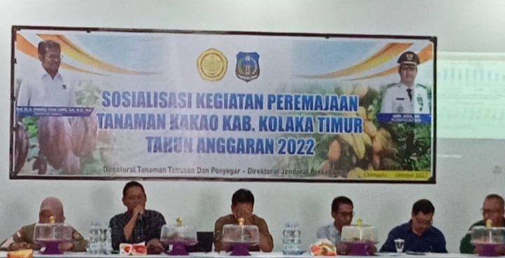Kegiatan sosialisasi peremajaan tanaman kakao di aula Dinas Perkebunan dan Hortikultura Kabupaten Kolaka Timur. Foto: Ist.