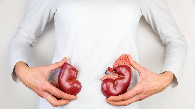 Ginjal merupakan salah satu organ tubuh yang penting dalam tubuh manusia. Makanya kesehatan ginjal harus dijaga, salah satunya dengan melakukan pola hidup sehat. Foto: Repro Istockphoto