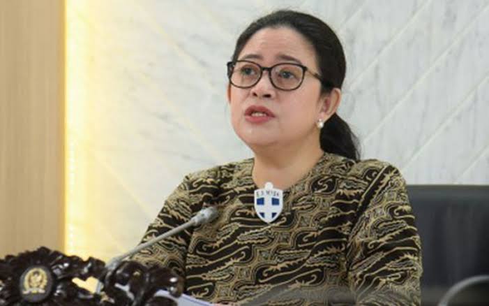Ketua DPR RI, Puan Maharani minta penggunaan obat cair disetop sementara. Foto: Ist