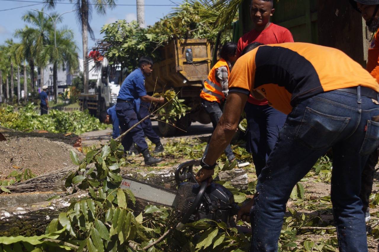 Satgas kebersihan Kota Kendari membersihkan dahan pohon hasil pemangkasan yang dilakukan di Jalan Made Sabara. Foto: Ist.