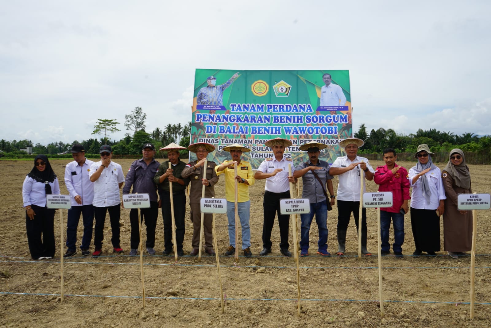 Proses penanaman bibit sorgum yang dilakukan BBI Wawotobi Kabupaten Konawe. Foto: Ist.