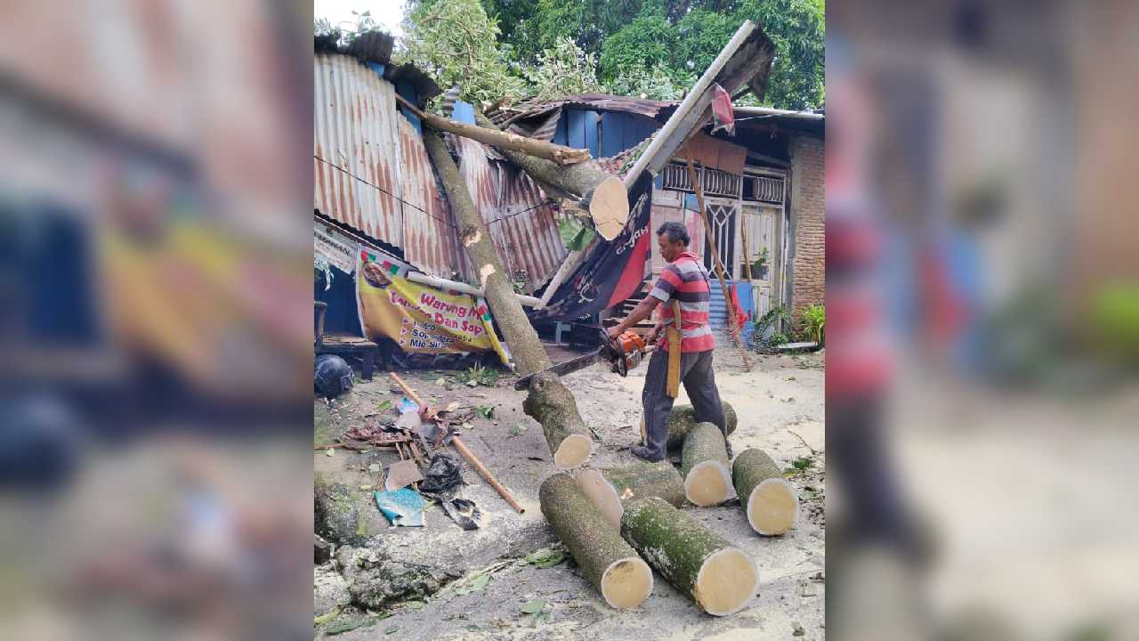 Petugas DLHK Kota Kendari menebang pohon yang menimpa rumah warga akibat hujan deras dan angin kencang yang melanda Kota Kendari dan sekitarnya, Jumat (16/12/2022). Foto: Ist.