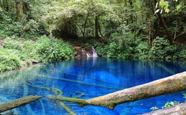 Hijaunya pepohonan Danau Kaco membuat perbedaan warna yang kontras, inilah yang memperindah pesona tempat ini, walaupun luasnya hanya sekitar 30x30 meter. Foto: Repro Idntimes.com