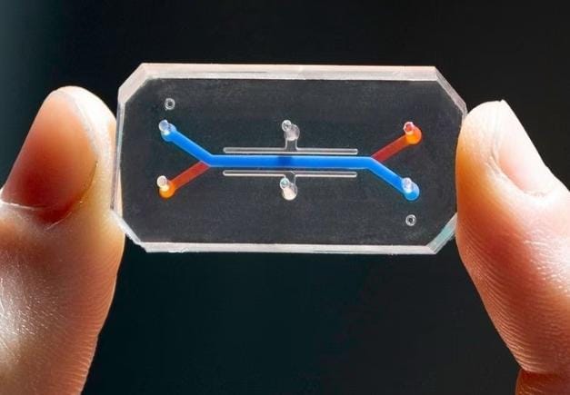 Chip vagina adalah perangkat mikofluida yang dilapisi dengan sel manusia hidup untuk pengembangan obat, pemodelan penyakit, dan obat yang dipersonalisasi. Foto: Repro Scientificamerican.com