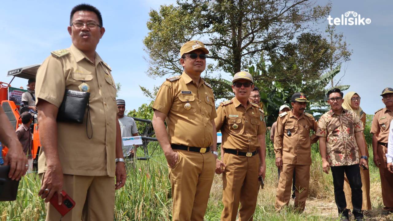 Pj Bupati Kolaka Utara, Parinringi, S.E., M.Si. bersama anggota DPRD, kepala OPD meninjau langsung lokasi persawahan di Desa Pasampang, Kecamatan Pakue Utara sekaligus menggelar pesta panen padi sawah. Foto: Muh Risal H/Telisik