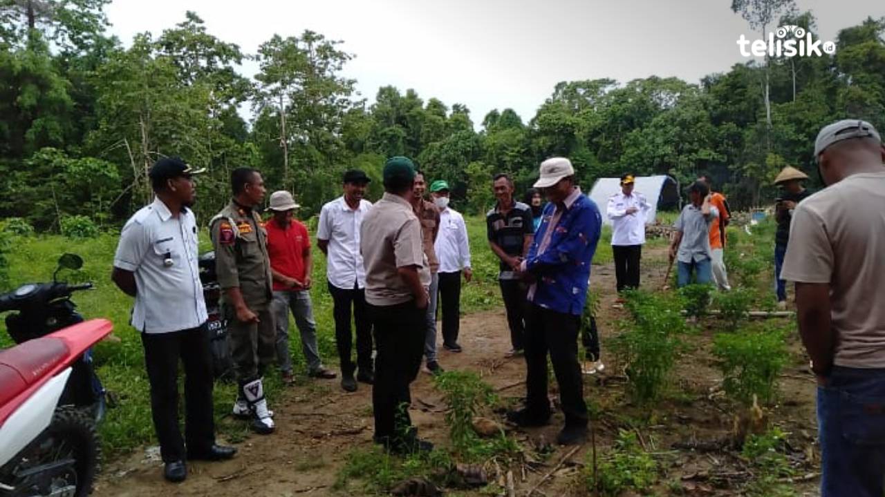 Pj Bupati Muna Barat turun langsung meninjau perkebunan cabai di Desa Marobea, Kecamatan Sawerigadi. Foto: Putri Wulandari/Telisik