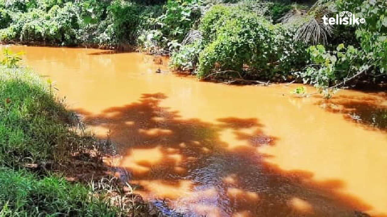 Kondisi air sungai yang melintasi tambak para petani budidaya ikan air payau di Kecamatan Batu Putih. Foto: Muh Risal H/Telisik
