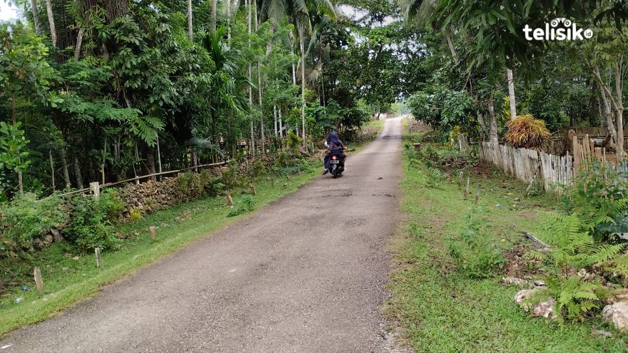 Suasana sekitar Lawa Raya, kondisi aman dan terkendali seusai gempa berkekuatan 4,1 SR terjadi pada pukul 00.02 Wita. Foto: Putri Wulandari/Telisik