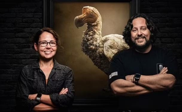 Belum lama ini sekelompok ilmuwan dari Colossal Biosciences berencana mengembalikan lagi burung dodo yang telah punah. Foto: Repro Dailymail.co.uk