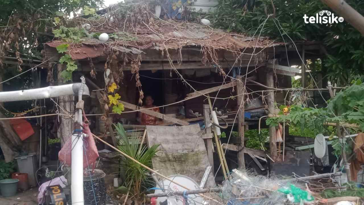 Kondisi salah satu rumah warga di Ibu Kota Kolaka Utara, Lasusua yang tampak kumuh. Foto: Muh Risal H/Telisik