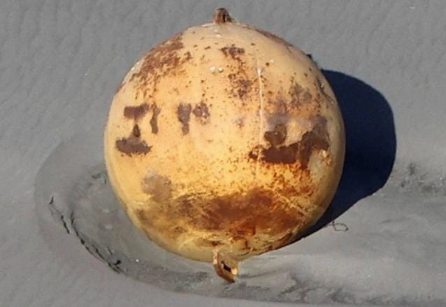 Polisi dan penduduk di Hamamatsu, Jepang, dibuat bingung oleh bola raksasa misterius yang terdampar di pantai kota beberapa hari lalu. Foto: Repro Hetanews.com