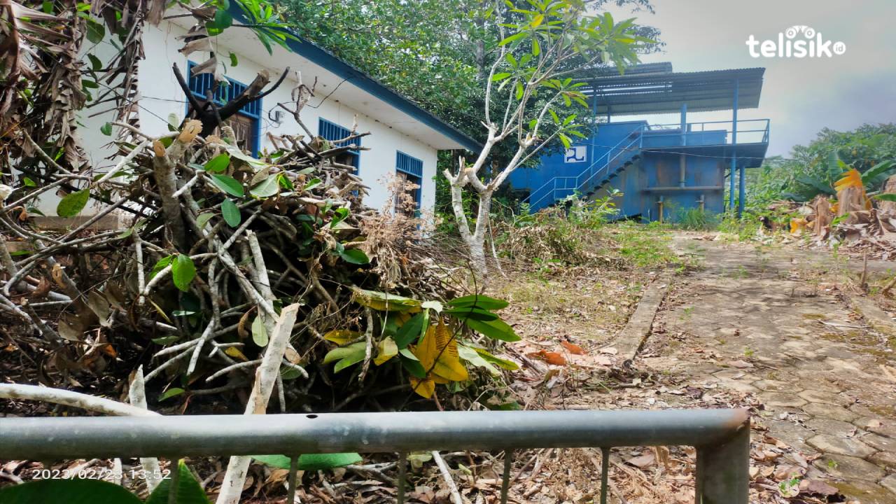 Kondisi halaman kantor PDAM di Kolaka Timur terdapat banyak tumpukan sampah yang tidak dibersihkan. Foto: Sigit Purnomo/Telisik