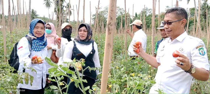 Dinas Pertanian Bombana saat meninjau perkebunan hortikultura di Kecamatan Tontonunu. Foto: Ist.