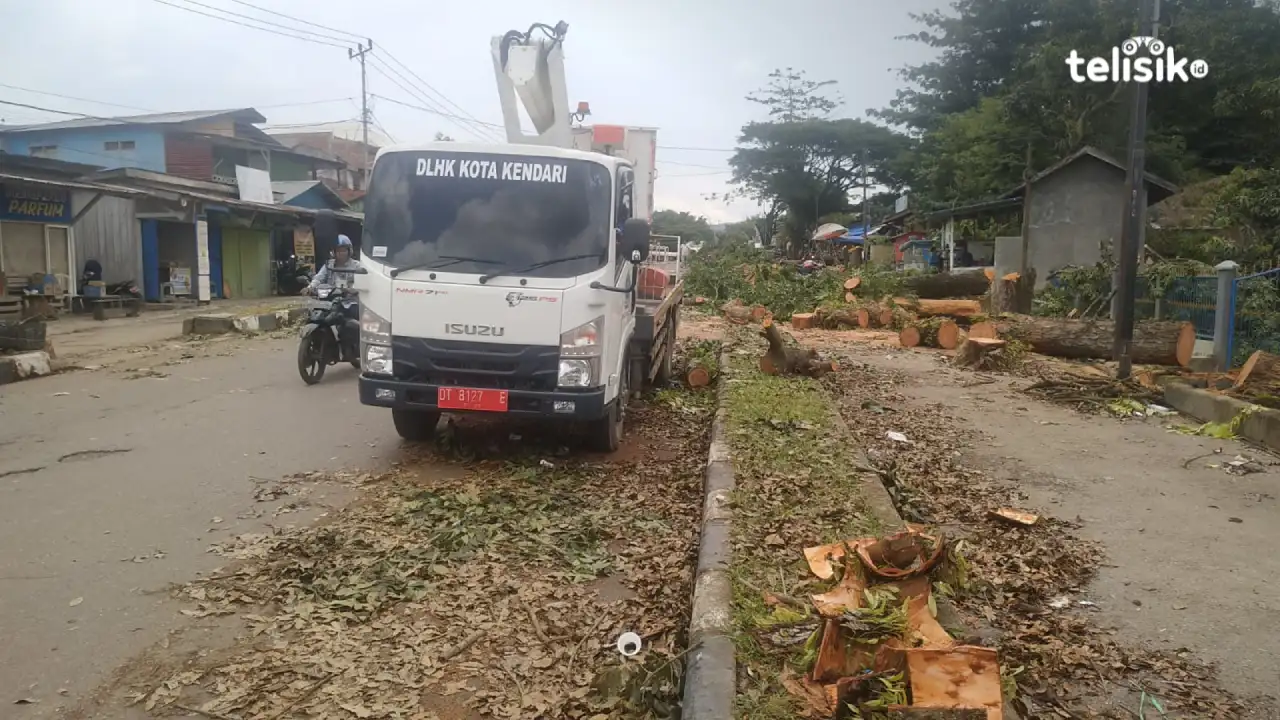 Serakan sampah bekas tebangan pohon di Jalan Taman Suropati buat lalu lintas terhambat. Foto: Adinda Septia Putri/Telisik