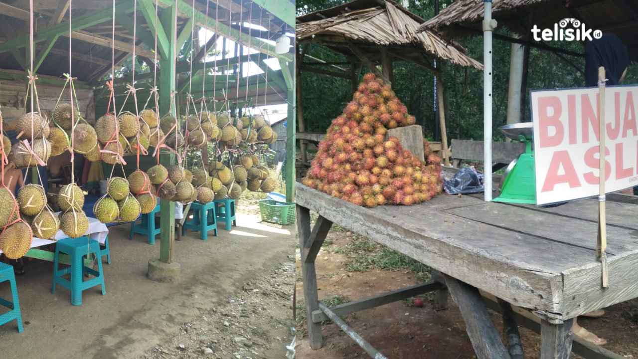 Salah satu tempat peristirahantan yang menyajikan buah durian di Desa Besulutu Kabupaten Konawe. Foto: Thamrin Dalby/Telisik