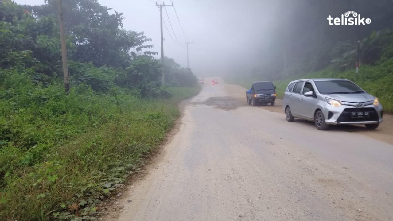 Kabut menyelimuti beberapa ruas jalan di sepanjang jalur Kendari menuju pelabuhan Torobulu, Konawe Selatan. Foto: Ahmad Jaelani/Telisik