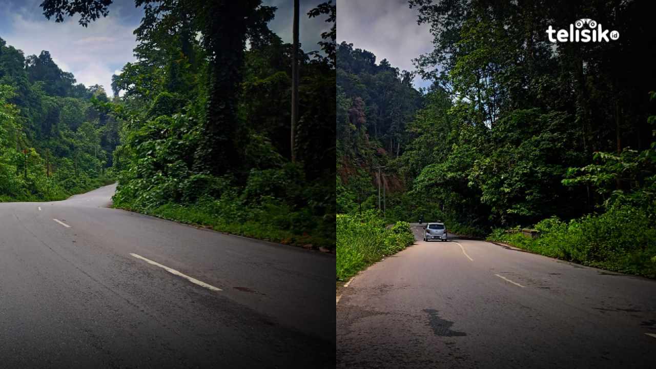 Jalur Wolasi di Kabupaten Konawe Selatan konon diyakini memiliki aura mistik yang cukup kental. Foto: Ahmad Jaelani/Telisik