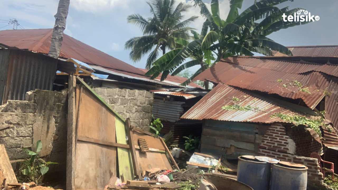 Tampak rumah warga roboh akibat tertimpa pohon di Kota Baubau. Foto: Elfinasari/Telisik