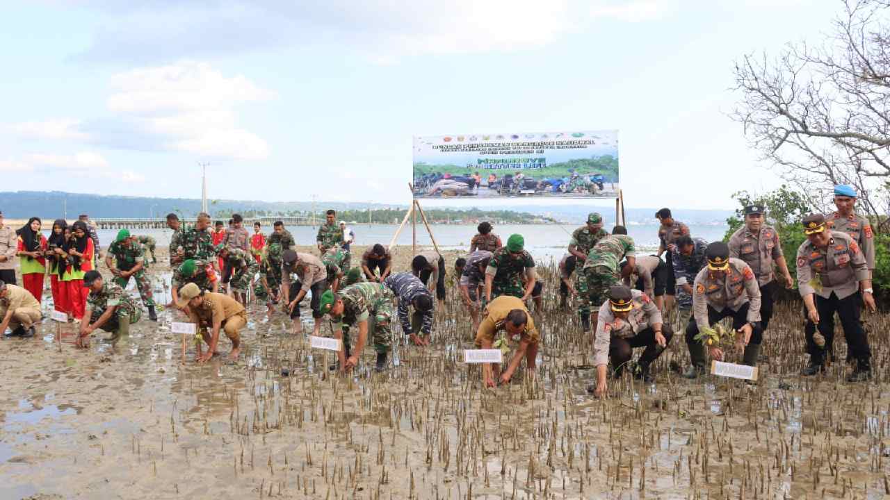 Penanaman 5.000 pohon mangrove  yang dilakukan di pesisir pantai Maradadi Kota Baubau. Foto: Ist.