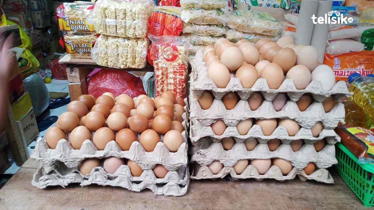 Harga telur naik signifikan di Kota Baubau. Foto: Elfinasari/Telisik