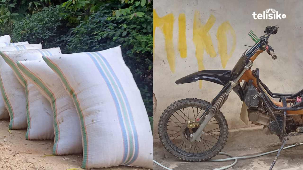 Inovasi tak henti berkembang di dunia otomotif, ojek padi di sawah menunjukan kepiawaiannya dalam memodifikasi sejumlah motor mereka. Foto: Ahmad Jaelani/Telisik