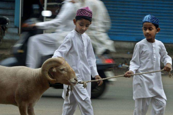 Ibadah kurban merupakan salah satu hal yang dianjurkan saat hari raya Idul Adha. Foto: Repro Id.theasianparent.com