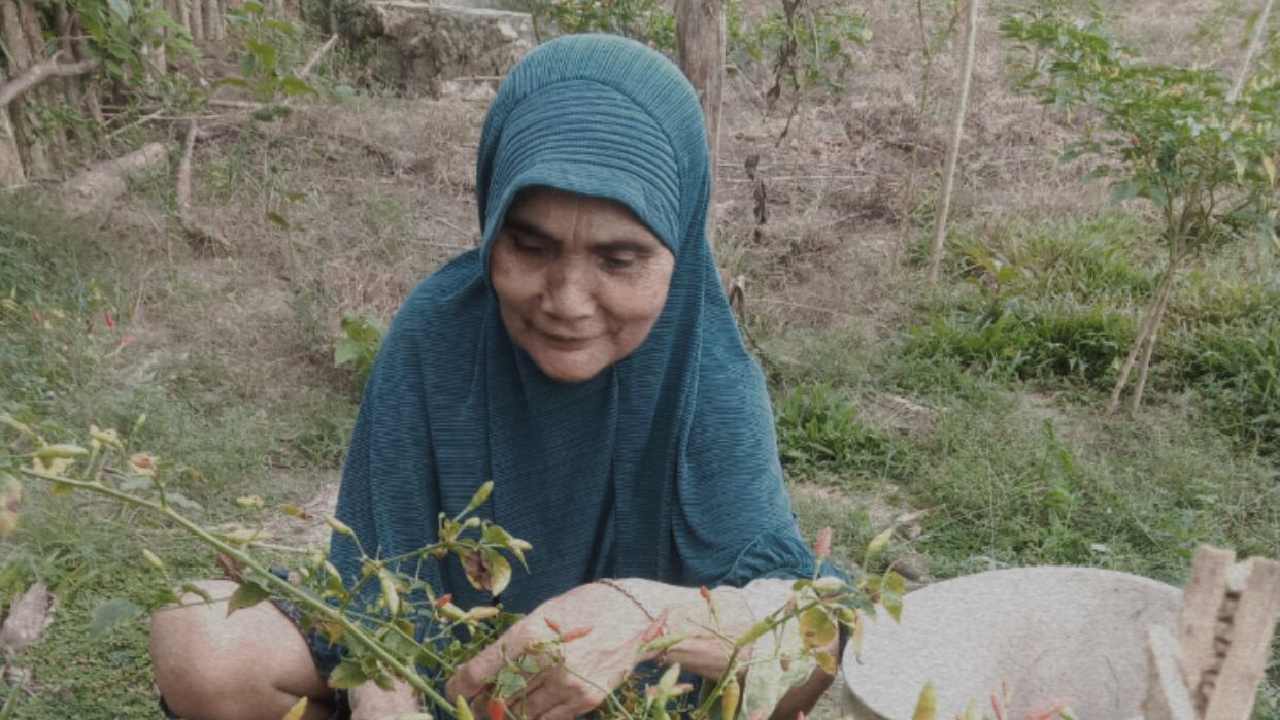 Di usianya yang sudah tua, Wa Ngkima tetap bekerja sendiri  tanpa adanya anak tercinta. Foto: Ist.