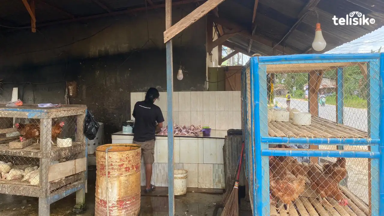 Pedagang ayam potong rumahan mengeluh karena harga ayam potong terus naik. Jika keadaan ini terus terjadi, bisa-bisa dia kehilangan pembeli. Foto: Nyoman Andre Mahendra/Telisik