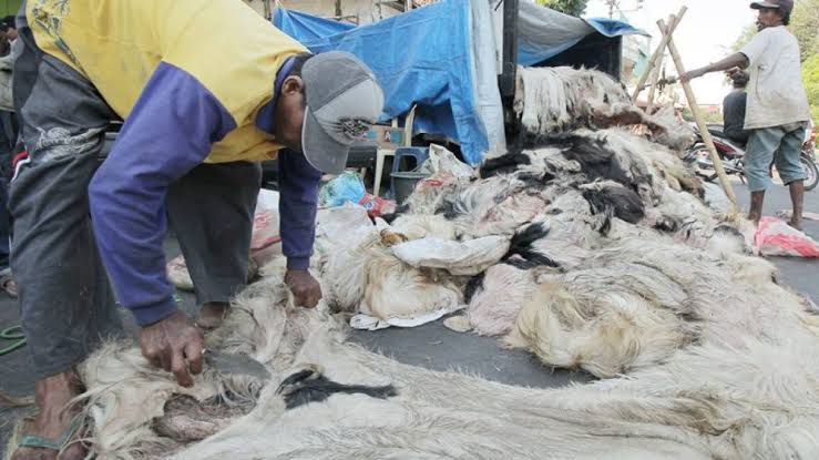 Beberapa ulama sepakat, orang yang berkurban maupun panitia kurban tidak boleh menjual daging atau bagian hewan kurban lainnya. Foto: Repro Tebuireng.online
