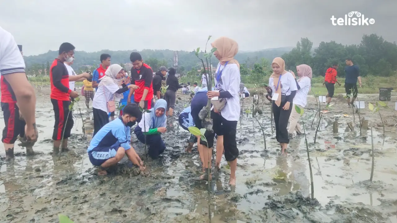 Mahasiswa PPG Prajabatan bersama peserta didik SMA di Kota Kendari melakukukan penanaman mangrove di Teluk Kendari. Foto: Erni Yanti/Telisik