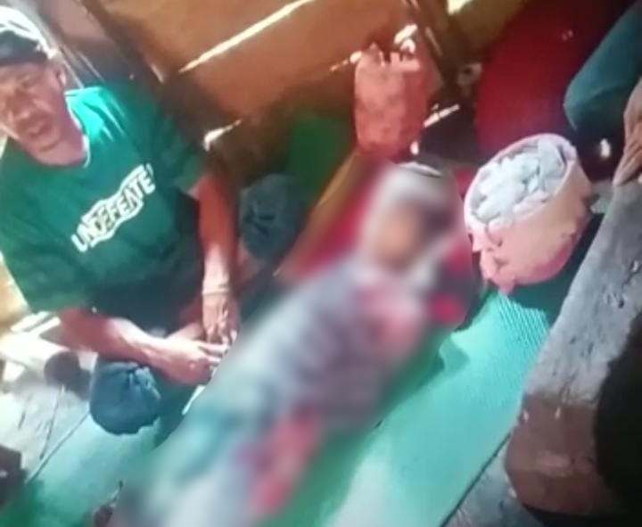 Bocah SD tewas akibat dililit ular piton berukuran besar di rumah pondok milik neneknya, di Desa Lapole, Kecamatan Maligano, Kabupaten Muna. Foto: Ist.