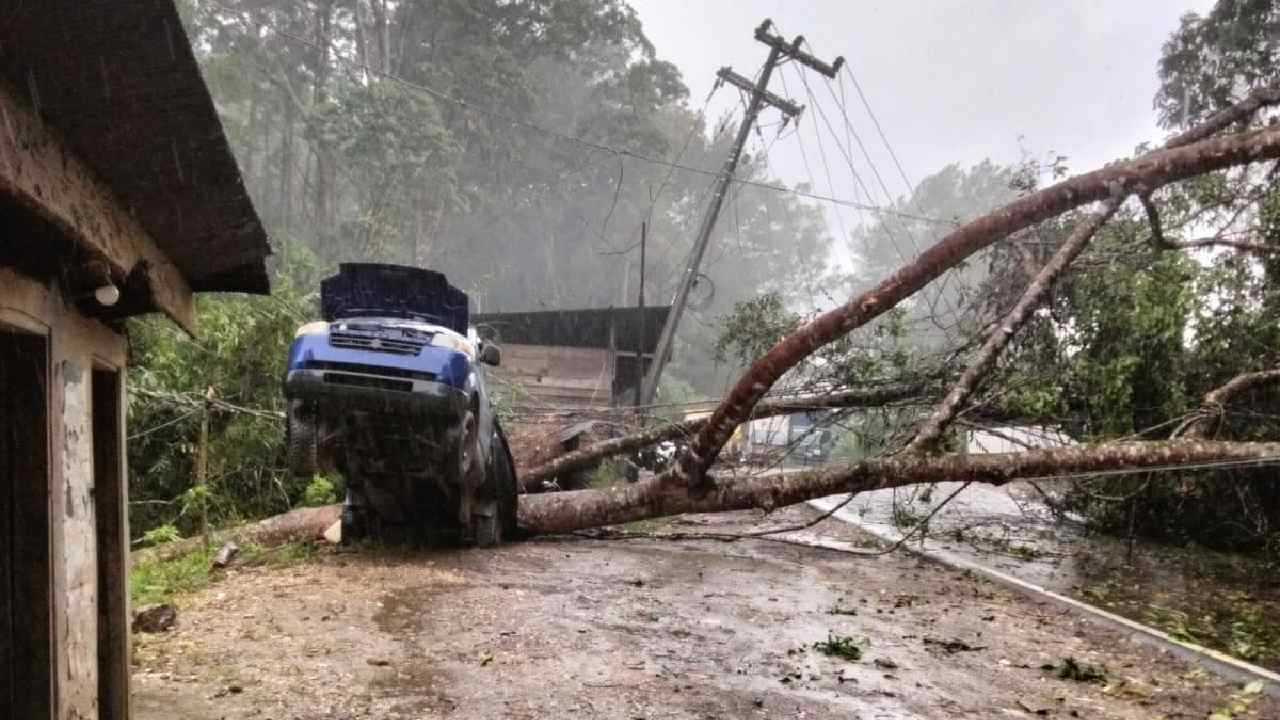 Cuaca ekstrem mengakibat sebuah pohon tumbang menimpa mobil dan kabel listrik. Foto: Ist.