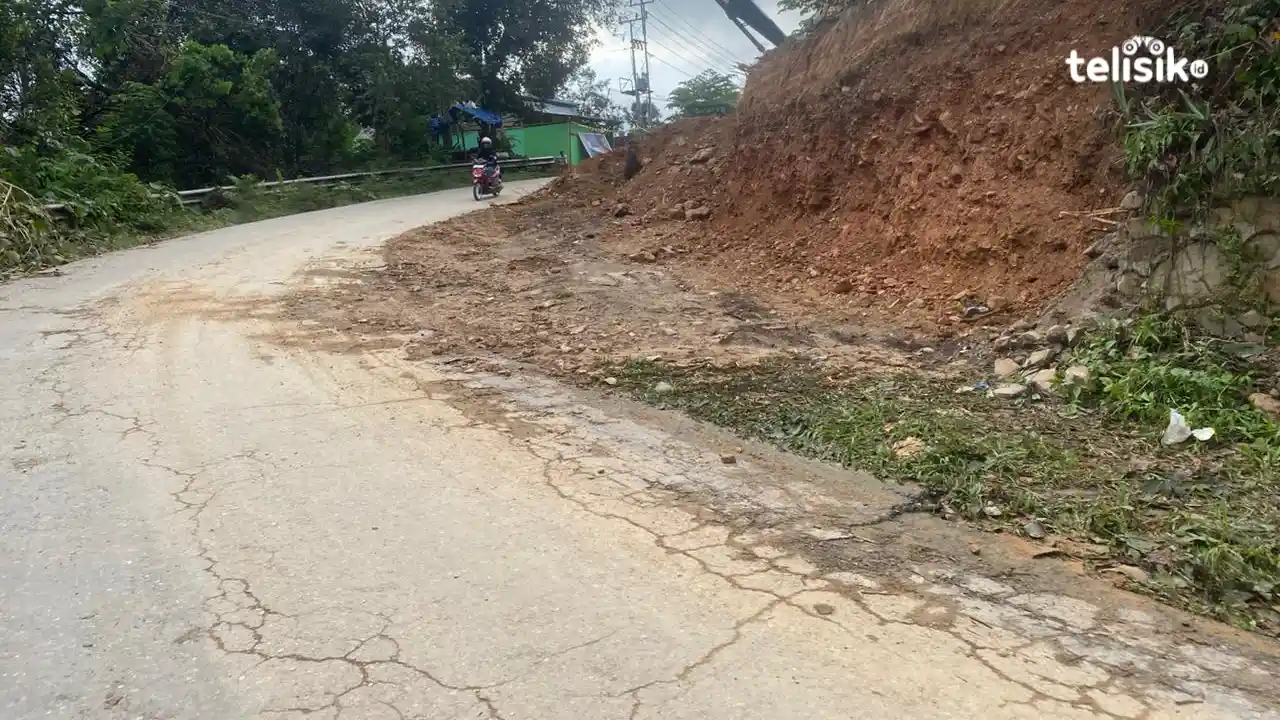 Jalan poros Kendari-Landono dilakukan pelebaran, lokasinya dekat dengan permandian air tawar Boro-Boro. Foto: Nyoman Andre Mahendra/Telisik