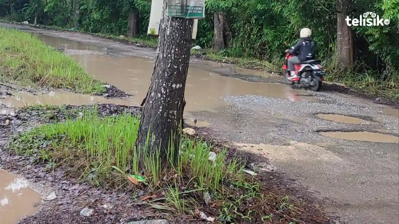 Kondisi Jalan Halu Oleo, poros Nanga-Nanga rusak parah. Sudah cukup lama, tak kunjung ada perbaikan. Foto: Rina Gayatri/Telisik