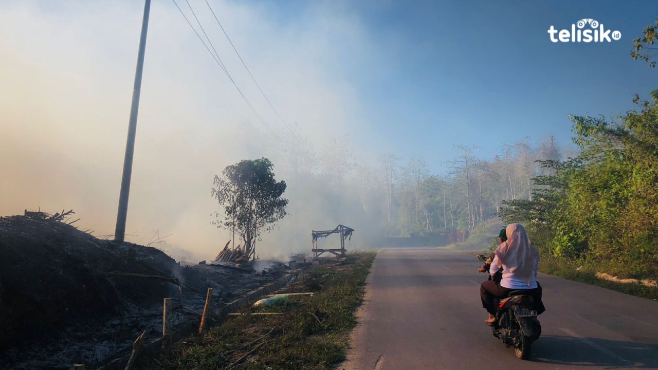 Pembakaran lahan yang menyebabkan polusi udara dan jarak pandang pengendara terganggu di sekitar ruas Jalan poros Buton Selatan-Baubau. Foto: Sofi Insan Wardani/Telisik