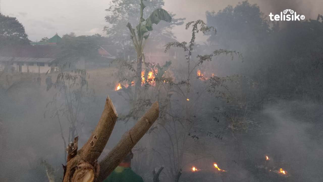 Petugas Damkar saat memadamkan api di lahan kosong. Foto: Sunaryo/Telisik