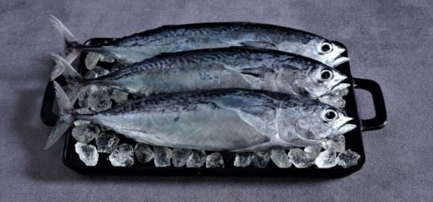 Ada beberapa hal yang perlu diperhatikan ketika Anda ingin menyimpan ikan di kulkas agar tetap segar dan tahan lama. Foto: Repro Allofresh.id
