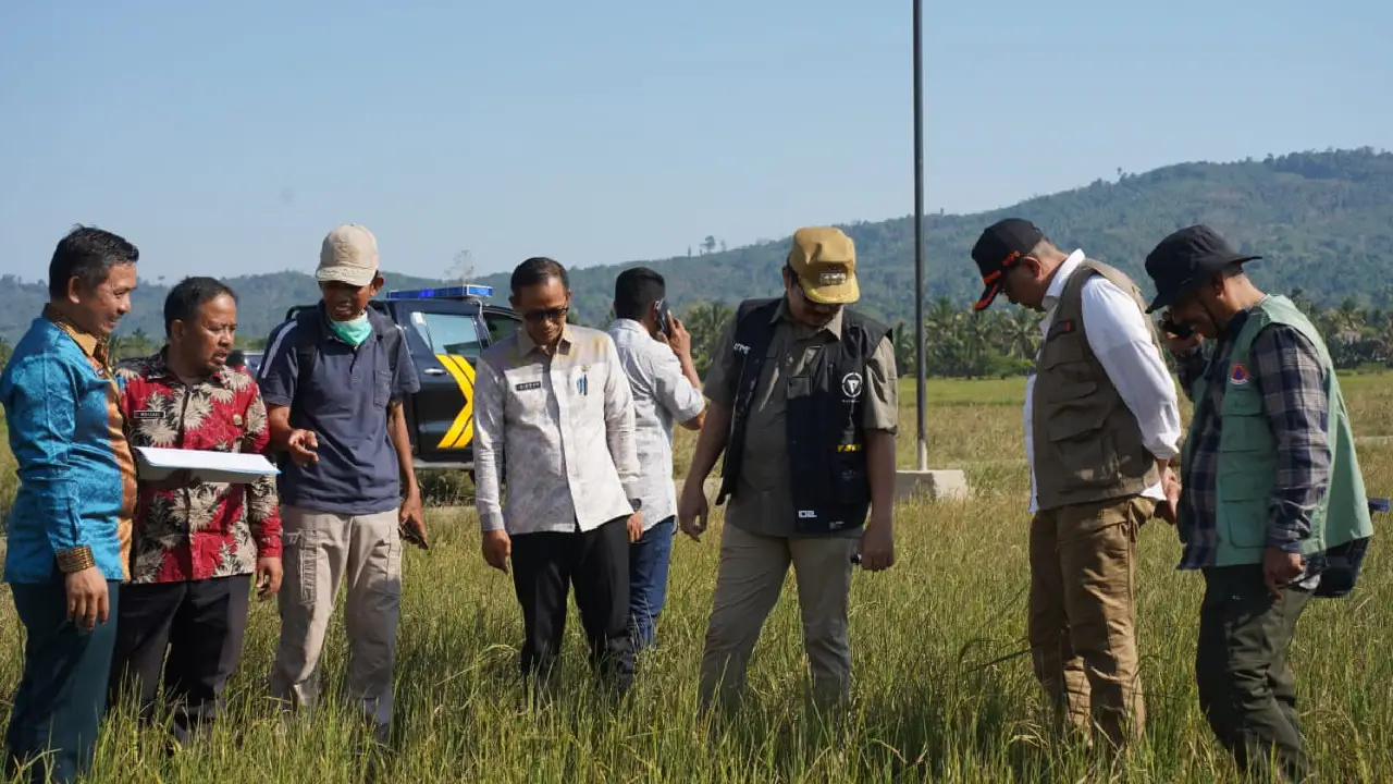 Sawah di Kolaka Timur secara keseluruhan kurang lebih 19 ribu hektare dan untuk di Bou kurang lebih 1.100 hektare, sementara yang terdampak kekeringan mencapai 508 hektare. Foto: Ist.