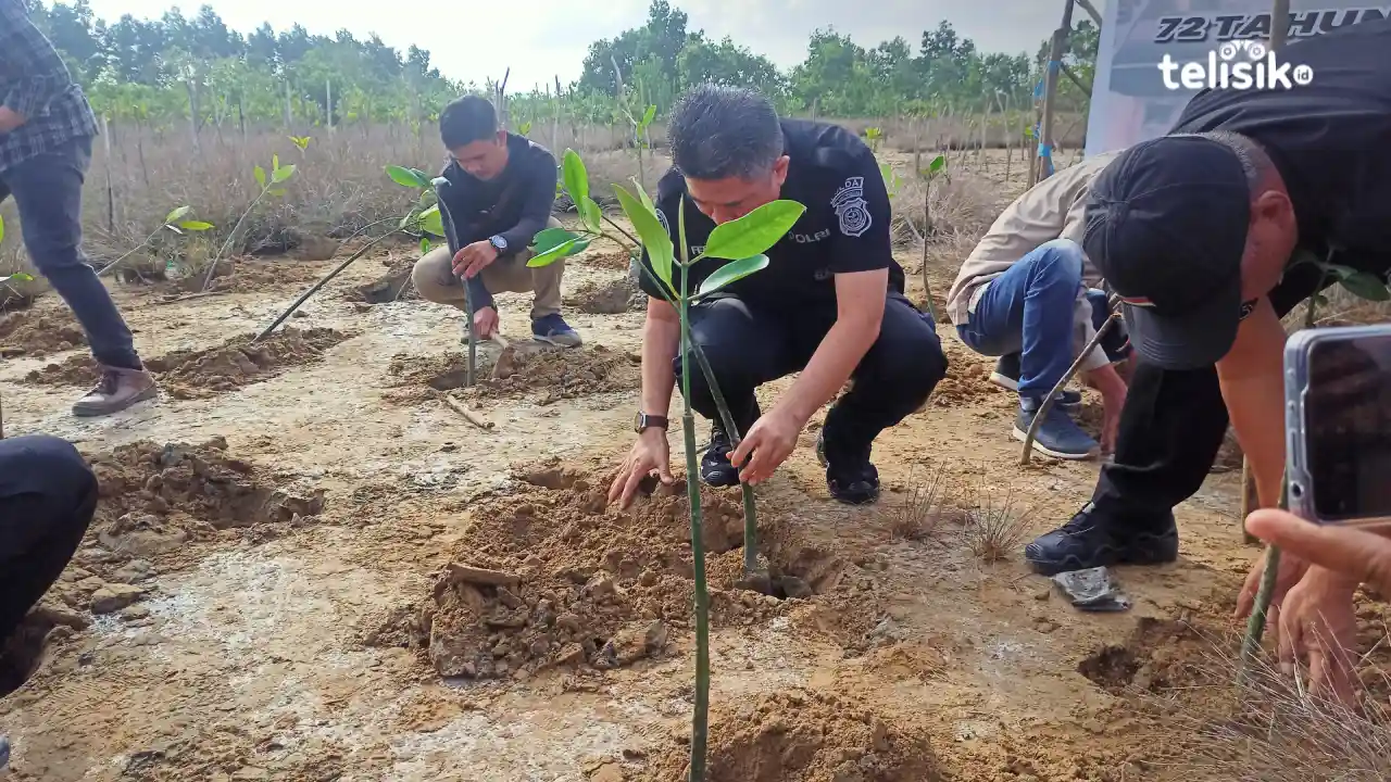 Kabid Humas Polda Sulawesi Tenggara, Kombes Pol Ferry Walintukan saat menanam pohon mangrove. Foto: Ahmad Jaelani/Telisik