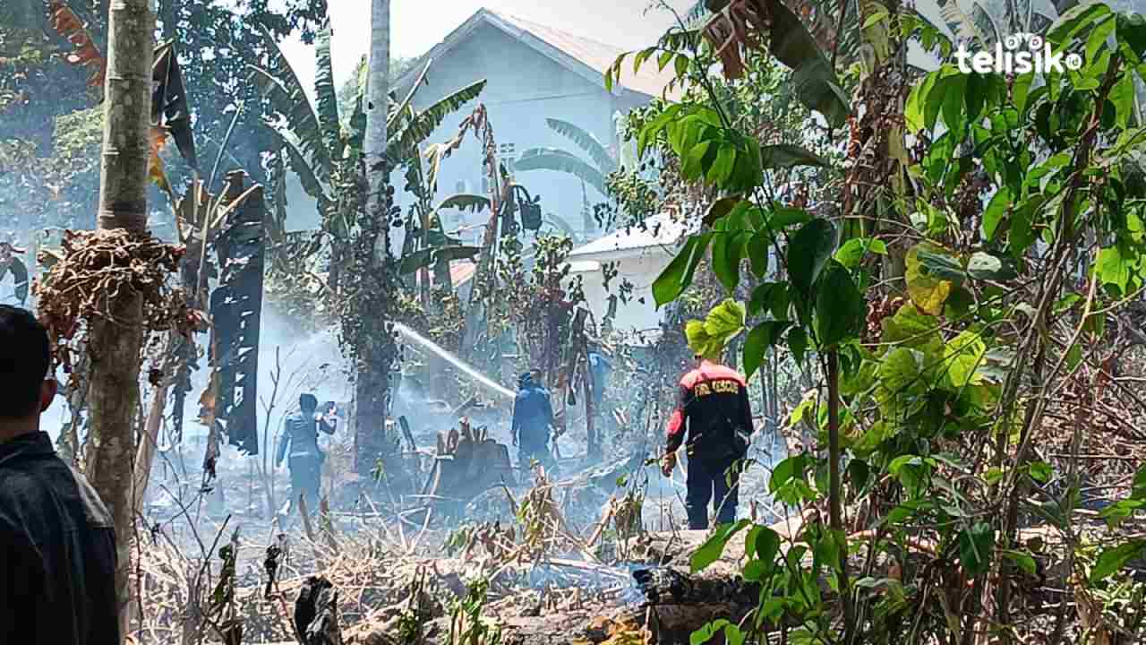 Lahan kosong di sekitar area Rujab Gubernur Sulawesi Tenggara ludes dilalap api. Foto: Ahmad Jaelani/Telisik