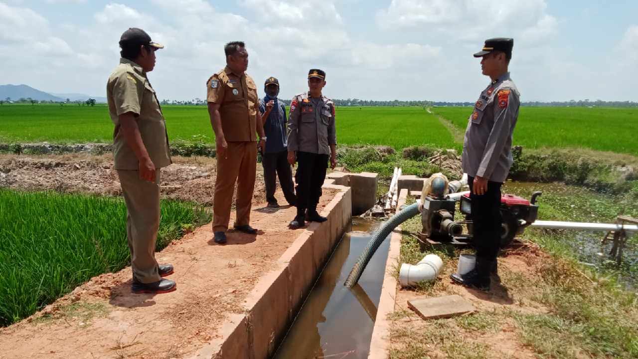 Empat desa di Kecamatan Dangia, Kolaka Timur alami kekeringan akibat tidak adanya curah hujan beberapa hari belakangan ini. Foto: Ist.