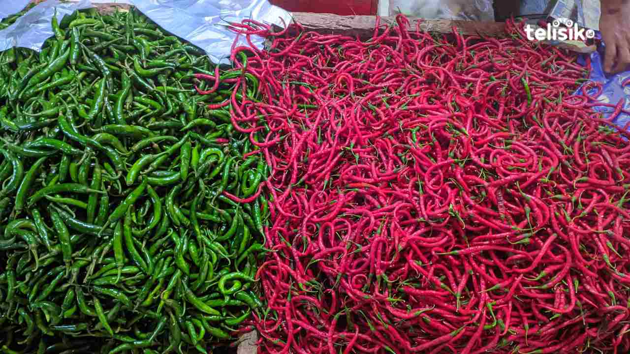 Harga cabai di Kota Kendari melonjak hingga mencapai Rp 100.000 per kilogram, Kamis (30/11/2023). Foto: Sahira/Telisik