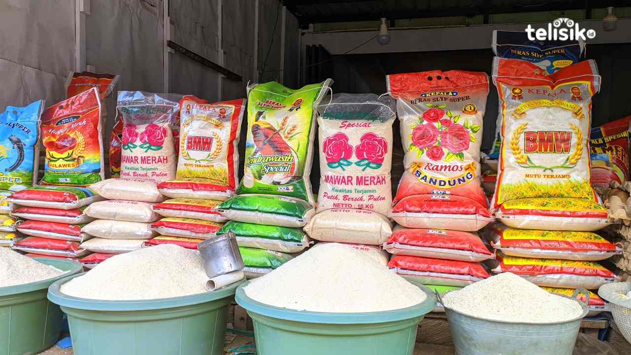 Update harga beras awal November di pasar Anduonohu dan pasar Mandonga mulai turun, Jumat (3/11/2023). Foto: Rosmawati/Telisik