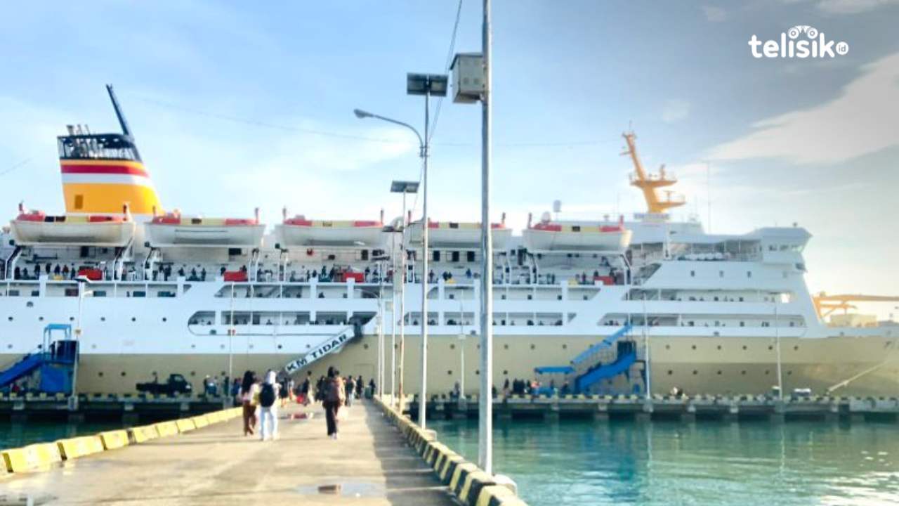Update jadwal dan kota tujuan 10 kapal Pelni yang akan berangkat dari Pelabuhan Murhum Baubau. Foto: Elfinasari/Telisik