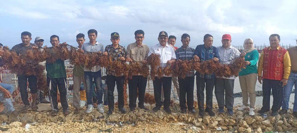 Pj Bupati Bombana, Burhanuddin mengahadiri panen perdana rumput laut di Desa Laeya, Kecamatan Poleang Selatan. Foto: Ist.