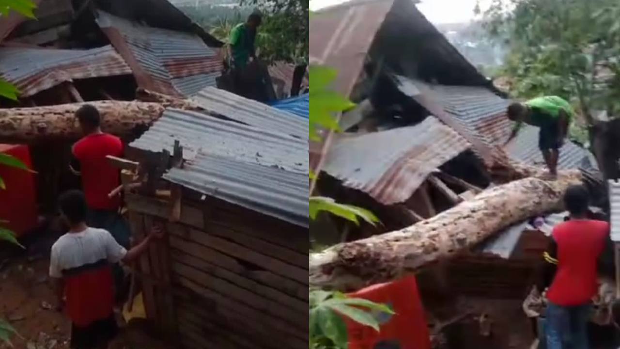 Hujan deras disertai angin kencang dan guntur menyebabkan tumbangnya pohon ke salah satu rumah warga di Kelurahan Kampung Salo, Kota Kendari. Foto: Tangkapan layar video