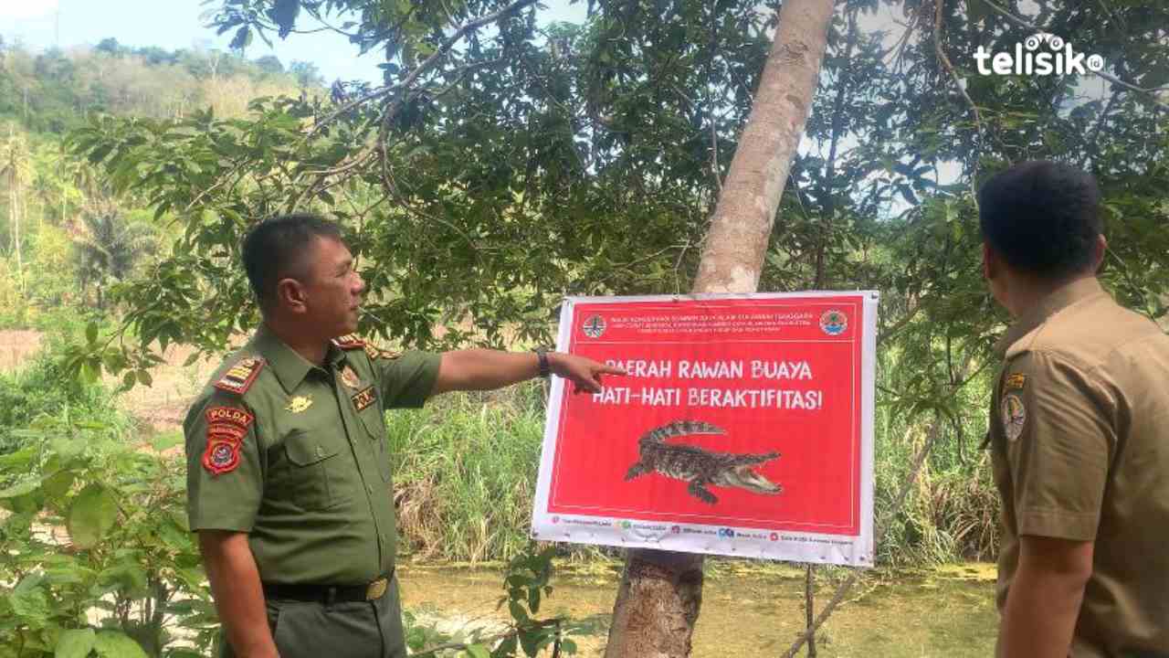 BKSDA Kota Baubau memasang papan peringatan daerah rawan buaya di kali Ambon yang dapat membahayakan warga. Foto: Elfinasari/Telisik